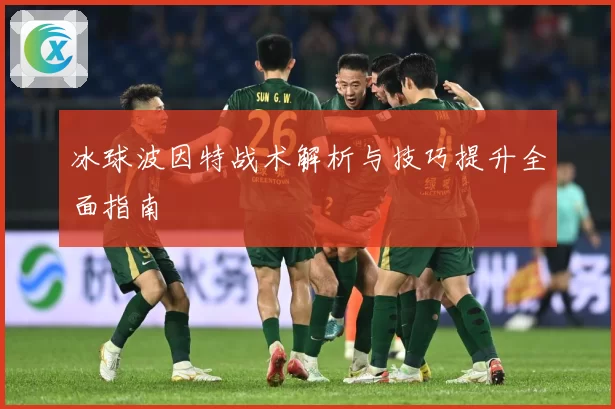 冰球波因特战术解析与技巧提升全面指南